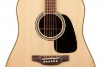 Takamine GD51-NAT