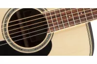 Takamine GD51-NAT