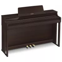 Casio AP-550 BN