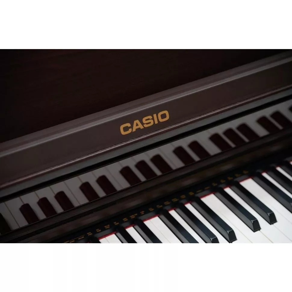 Casio AP-550 BN