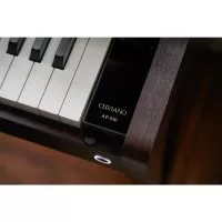 Casio AP-550 BN