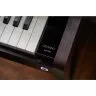 Casio AP-550 BN