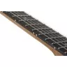 Schecter PT Pro TPB