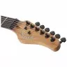 Schecter PT Pro TPB
