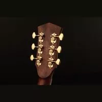 Cort GOLD A8 (Natural)