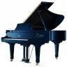 Boston Blues Limited Edition GP-163 PE