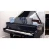 Boston Blues Limited Edition GP-163 PE