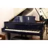 Boston Blues Limited Edition GP-163 PE