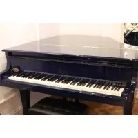 Boston Blues Limited Edition GP-163 PE
