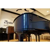 Boston Blues Limited Edition GP-163 PE