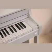 Casio AP-550 WE