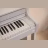 Casio AP-550 WE