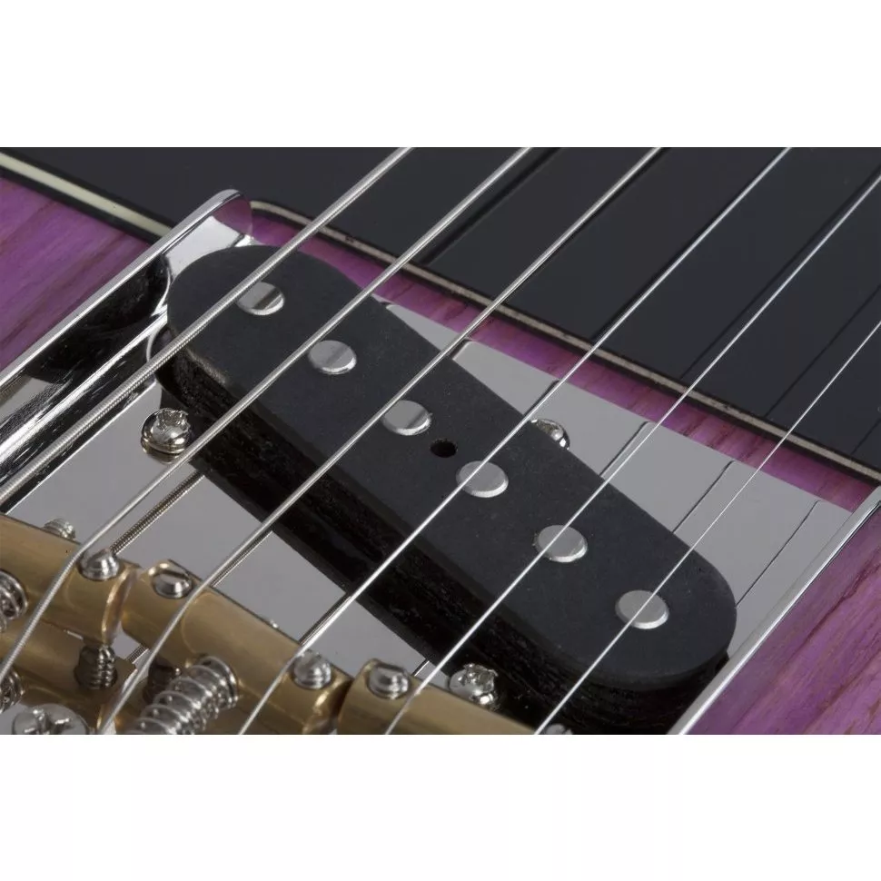 Schecter PT SPECIAL PBP