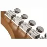 Schecter PT SPECIAL PBP