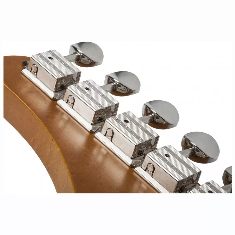 Schecter PT SPECIAL PBP