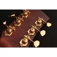 Cort GOLD OC6 (Natural)