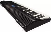 Roland GO:PIANO