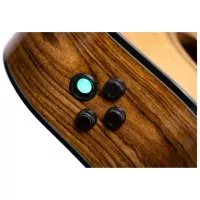 Cort GOLD-A6 Bocote (Natural)