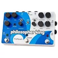 Pigtronix Philosopher King