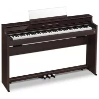 Casio AP-S450 BN