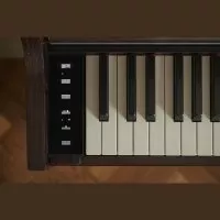 Casio AP-S450 BN