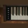 Casio AP-S450 BN