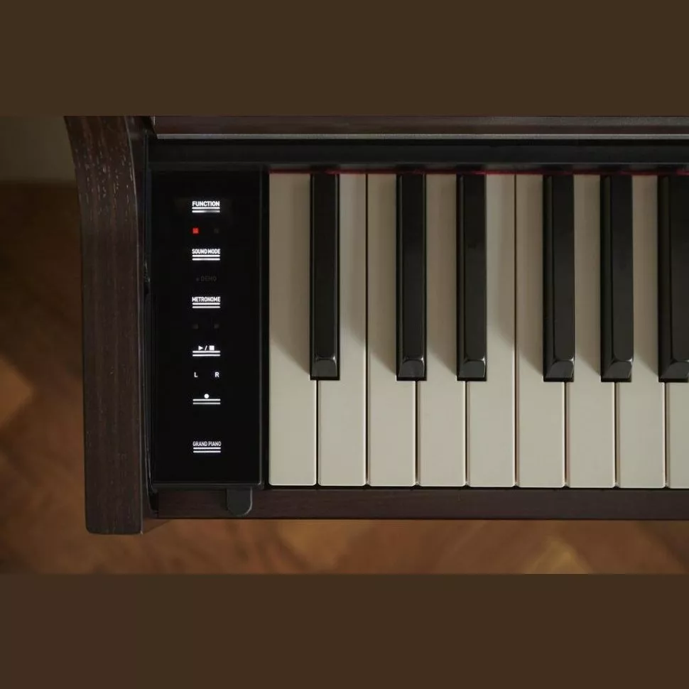 Casio AP-S450 BN