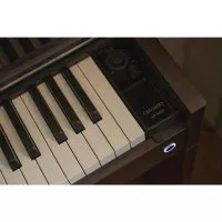 Casio AP-S450 BN