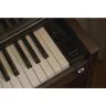 Casio AP-S450 BN