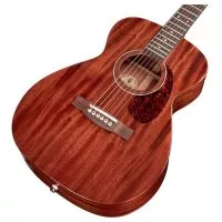 Guild OM-120 NAT W/B