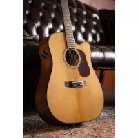 Cort GOLD-DC6 (Natural)