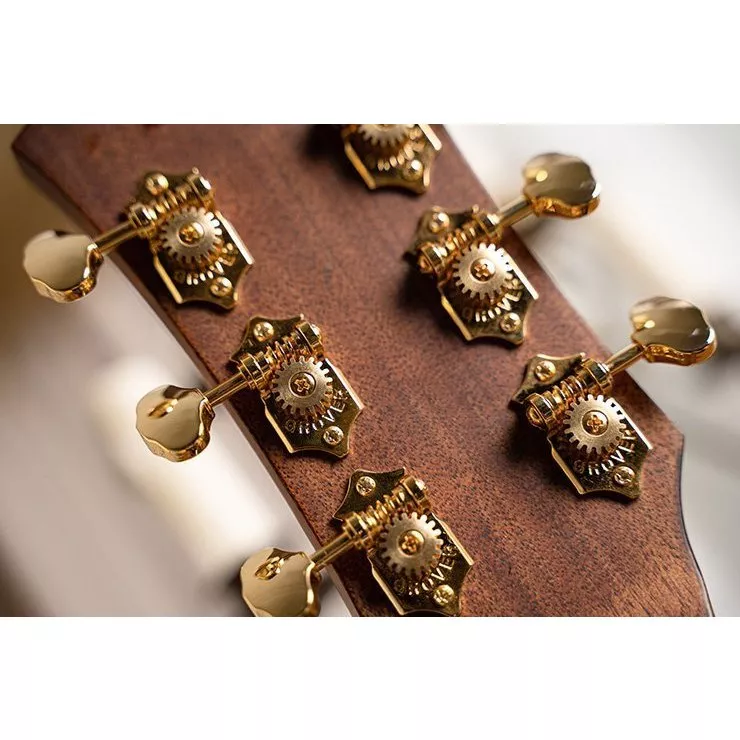 Cort GOLD-DC6 (Natural)
