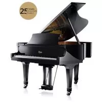 Boston GP-178 25th Anniversary Limited Edition