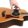 D'Addario Acoustic Guitar Soundhole Humidifier D'Addario Acoustic Guitar Soundhole Humidifier