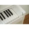 Casio AP-S450 WE