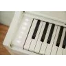 Casio AP-S450 WE
