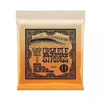 Ernie Ball P02329