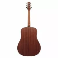 Ibanez AAD50-LG