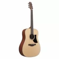 Ibanez AAD50-LG