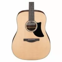Ibanez AAD50-LG