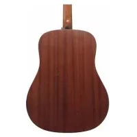 Ibanez AAD50-LG