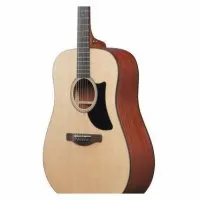 Ibanez AAD50-LG