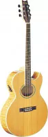 Washburn EA20 SDL
