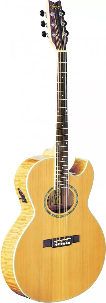 Washburn EA20 SDL Washburn EA20 SDL