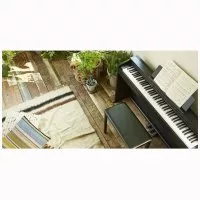 Casio PX-870 BK