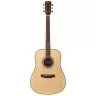 Prima DSAG205 Acoustic Guitar Prima DSAG205 Acoustic Guitar