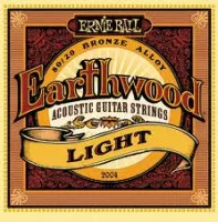 Ernie Ball P02004 Light