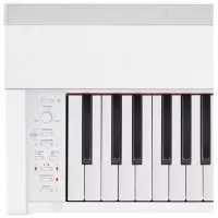 Casio PX-870 WE