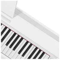 Casio PX-870 WE
