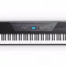 Alesis RECITAL PRO